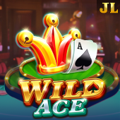 Wild Ace at Beeking